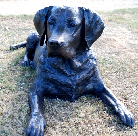 Life sized statue of a Labrador dog lying down by the sculptor Joel Walker