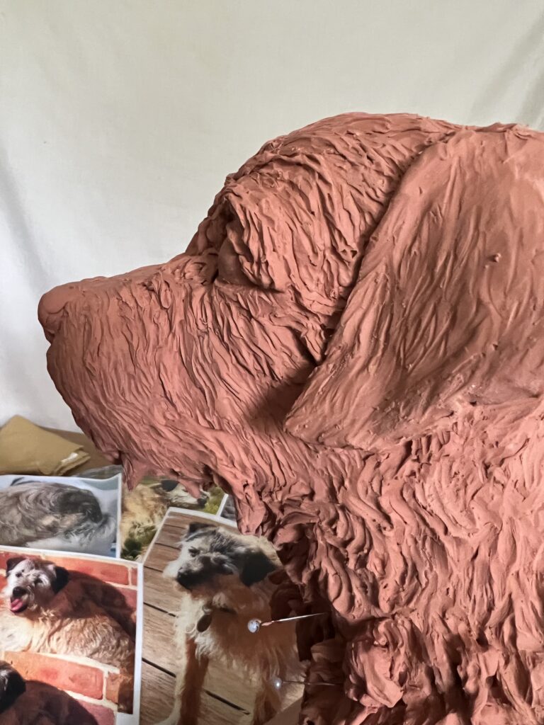 Millie the Border Terrier head in the clay stage by the Sculptress JOEL