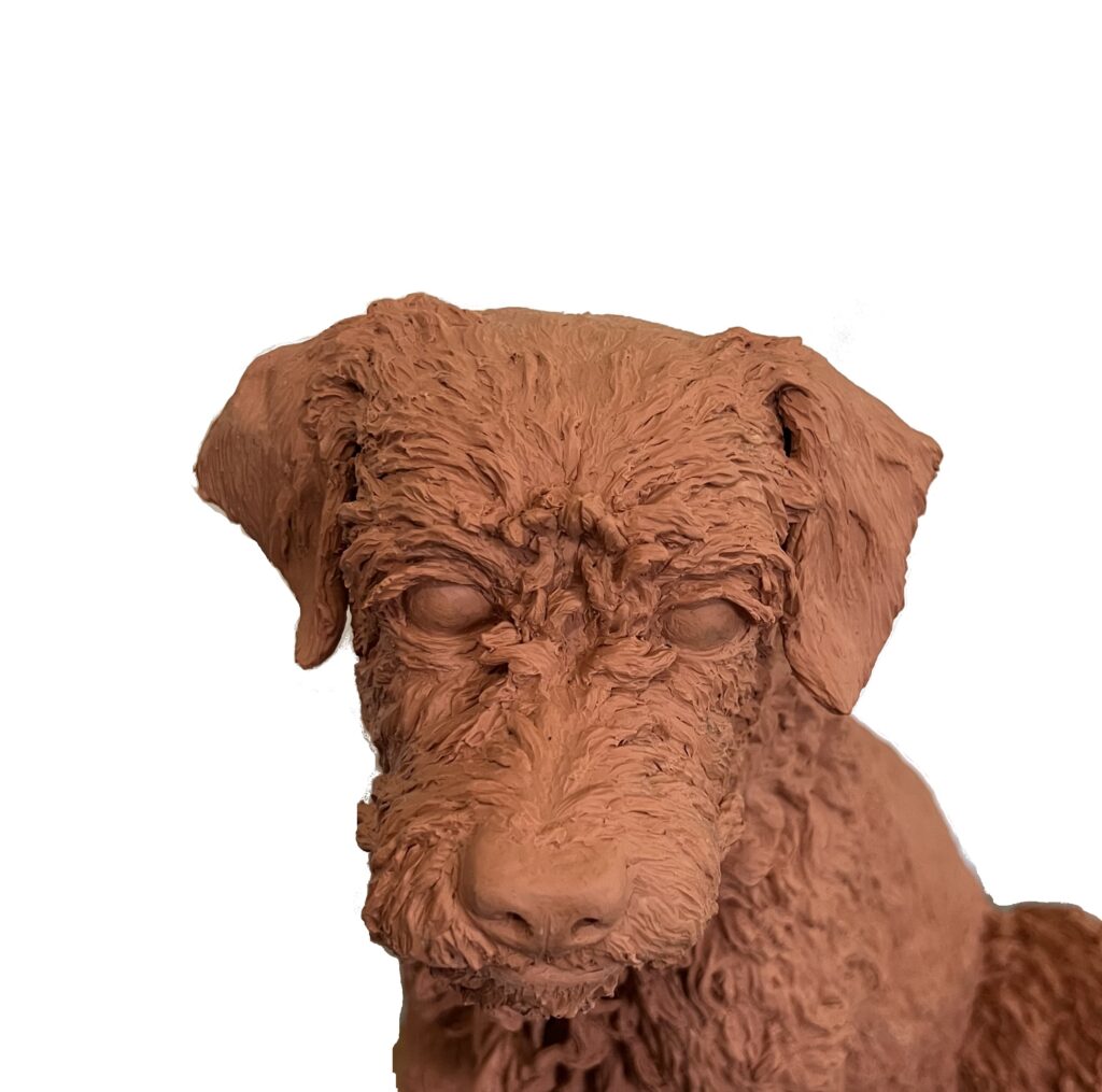 Millie the Border Terrier in clay by the Sculptress JOEL
