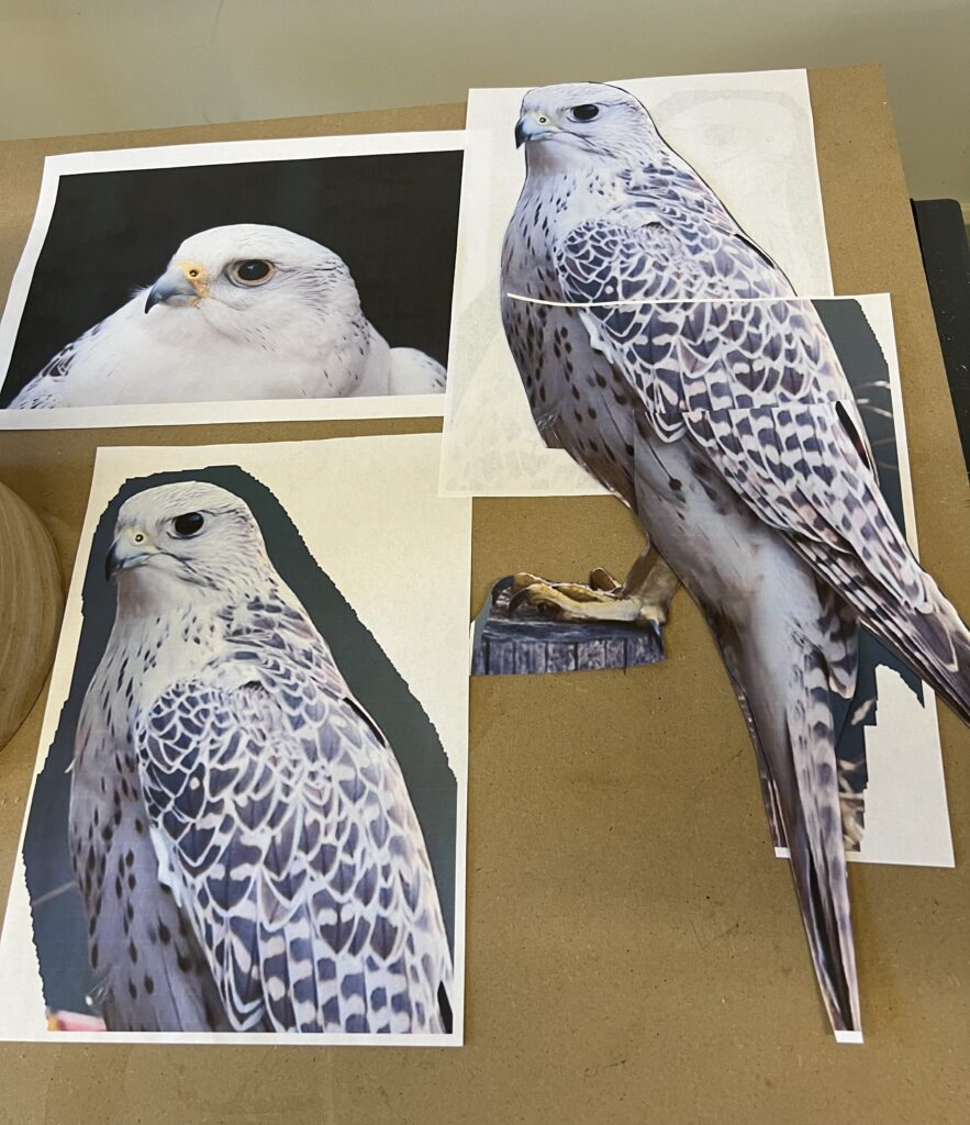 Gyr falcon sculpture progress by Sculptress JOEL early study